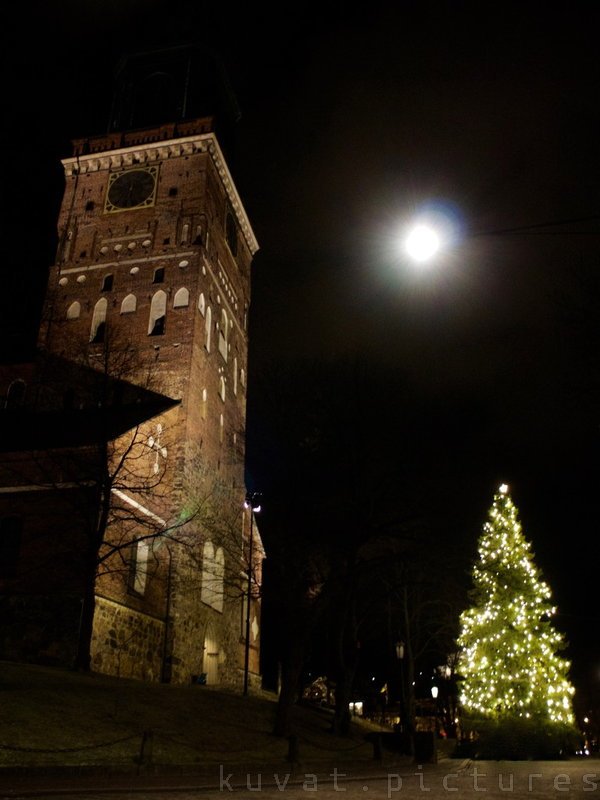 The Christmas Tree of Turku Cathedral