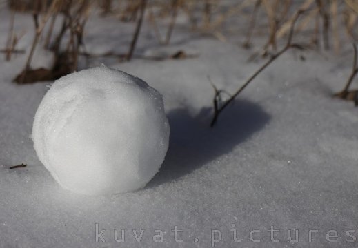 A snowball