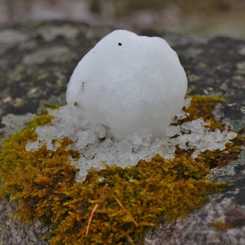 A snowball
