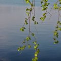 The Lake Littoistenjärvi