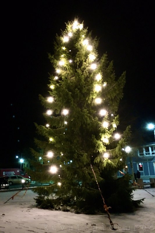 The Christmas Tree of Kaskinen